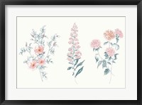 Framed Flowers on White IX Contemporary Bright