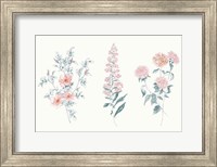 Framed Flowers on White IX Contemporary Bright