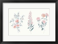 Flowers on White IX Contemporary Bright Framed Print