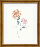 Framed Flowers on White IV Contemporary Bright