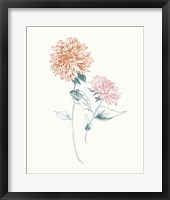 Framed Flowers on White IV Contemporary Bright