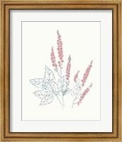 Framed Flowers on White VII Contemporary Bright