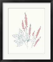 Framed Flowers on White VII Contemporary Bright