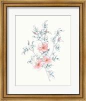 Framed Flowers on White II Contemporary Bright