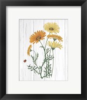 Framed 'Botanical Bouquet on Wood I' border=