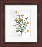 Framed 'Botanical Bouquet on Wood IV' border=
