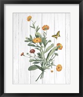Botanical Bouquet on Wood IV Framed Print