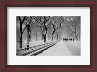 Framed Central Park Snow
