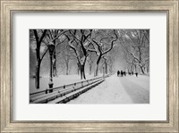 Framed Central Park Snow