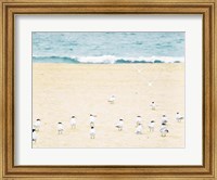 Framed Relaxed Seagulls