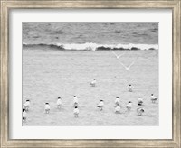 Framed Coastline Flock