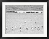 Framed Coastline Flock