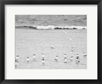 Framed Coastline Flock