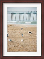 Framed Seagull Coast