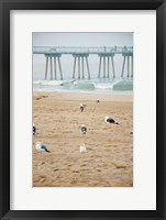 Framed Seagull Coast