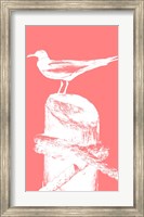 Framed Perching Seabird I