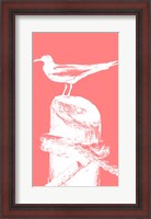 Framed Perching Seabird I