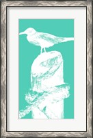 Framed Perching Seabird II