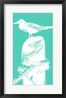 Perching Seabird II Framed Print