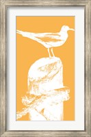 Framed Perching Seabird III