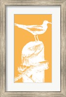 Framed Perching Seabird III