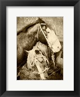 Framed Vintage Horses