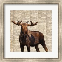 Framed Country Moose I