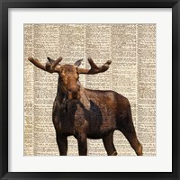 Framed 'Country Moose I' border=