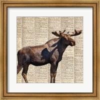 Framed Country Moose II