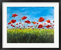 Framed Wild Poppies