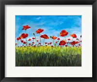 Framed Wild Poppies