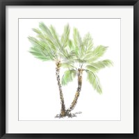 Framed Palm Tree on White I
