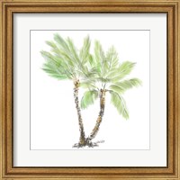 Framed Palm Tree on White I