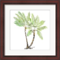 Framed Palm Tree on White I