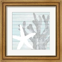 Framed Starfish on Blue Wood