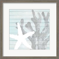Framed Starfish on Blue Wood