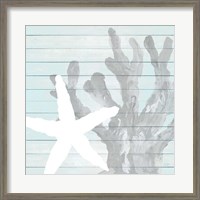 Framed 'Starfish on Blue Wood' border=