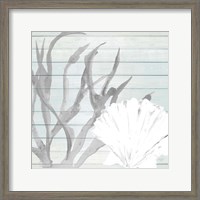 Framed Seashell on Blue Wood