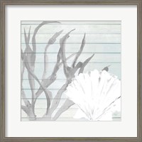 Framed 'Seashell on Blue Wood' border=