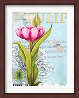 Framed Elegant Tulip I