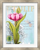 Framed Elegant Tulip I