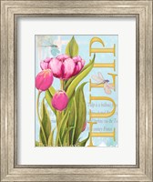 Framed Elegant Tulip II