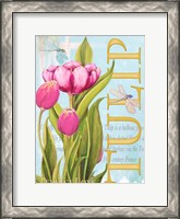 Framed Elegant Tulip II