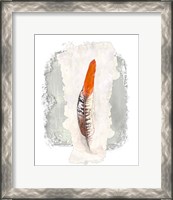 Framed Simple Feather II
