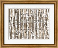 Framed Light Birch Forest