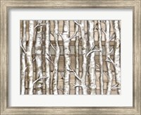 Framed Light Birch Forest