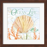 Framed 'Ocean Life' border=