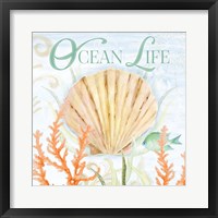 Ocean Life Framed Print