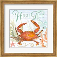 Framed 'High Tide' border=