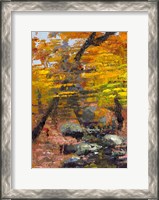 Framed Autumn Woods